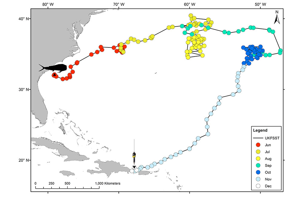 Dolphinfish migration chart