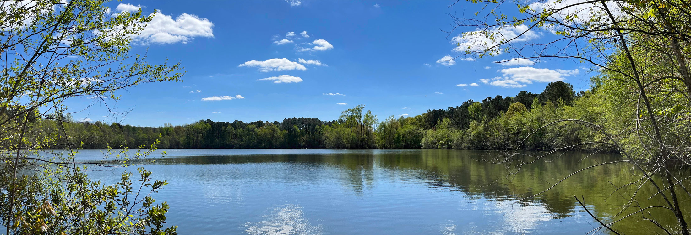 Tree lined river under blue skies