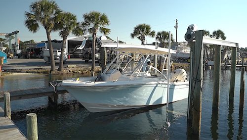 Catch more and bigger fish this winter? Here's how and what to use - <em>Freedom 235</em> honest review